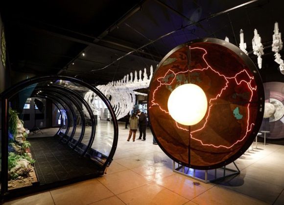 Fotos: divulgação Museu Planeta Água/Alex Trinks