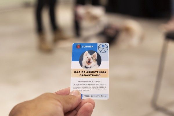 WhatsApp Image 2022-11-09 at 23.33.37