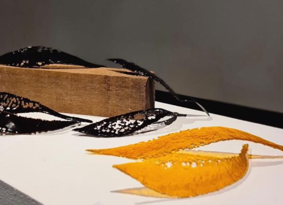 Exposição Amazônia usa técnica de obra em vidro celular. Obras estão em exposição no MuMa Exposição Amazônia usa técnica de obra sem vidro celular. Obras estão em exposição no MuMa