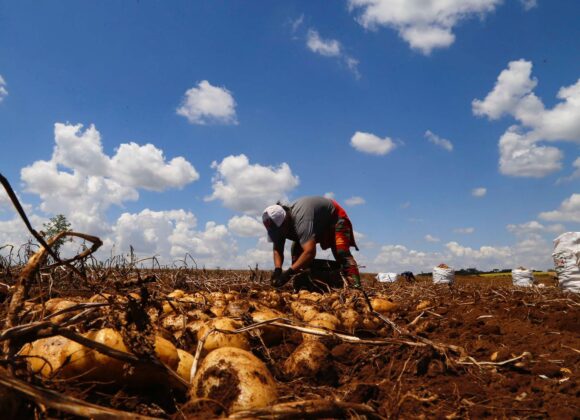 Prêmio Orgulho da Terra 2023 Reconhece Inovação e Sustentabilidade no Campo Prêmio Orgulho da Terra 2023 Reconhece Inovação e Sustentabilidade no Campo