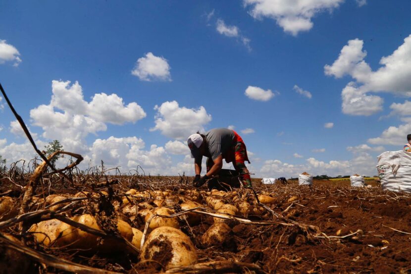 Prêmio Orgulho da Terra 2023 Reconhece Inovação e Sustentabilidade no Campo Prêmio Orgulho da Terra 2023 Reconhece Inovação e Sustentabilidade no Campo