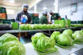 WhatsApp Image 2023-08-29 at 08.40.55