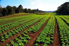 WhatsApp Image 2023-08-29 at 08.40.56 (1)