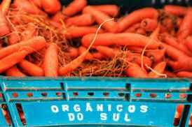 WhatsApp Image 2023-08-29 at 08.40.56 (2)