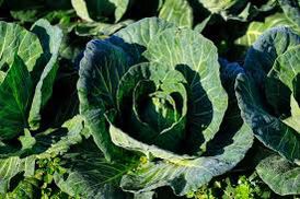 WhatsApp Image 2023-08-29 at 08.40.57