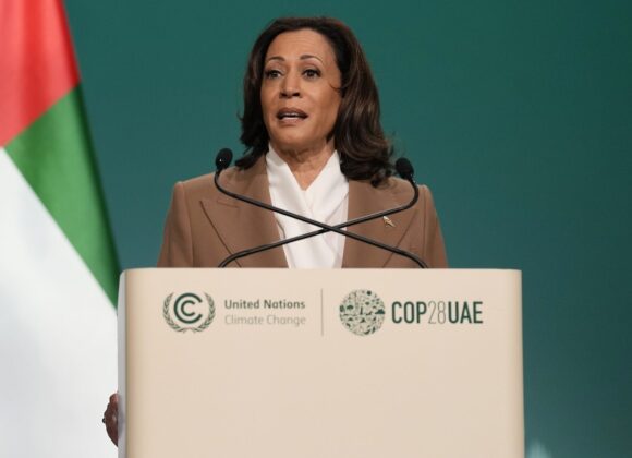 AP23336373887702-e1701570378527