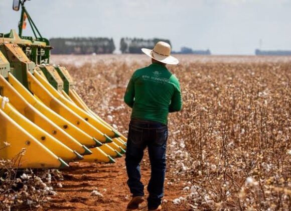 Setor de serviços no centro das atenções: Perspectivas indicam sua importância vital para o crescimento econômico em 2024 Setor de serviços no centro das atenções: Perspectivas indicam sua importância vital para o crescimento econômico em 2024