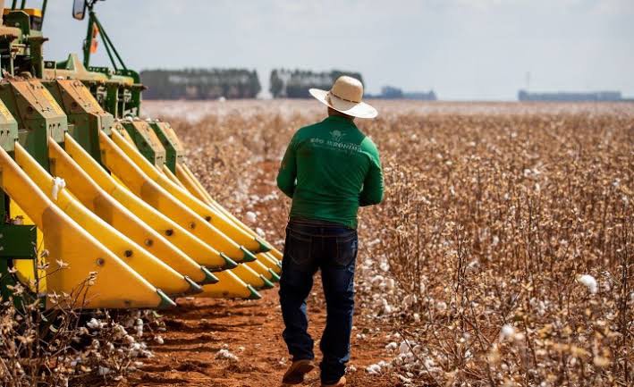 Setor de serviços no centro das atenções: Perspectivas indicam sua importância vital para o crescimento econômico em 2024 Setor de serviços no centro das atenções: Perspectivas indicam sua importância vital para o crescimento econômico em 2024