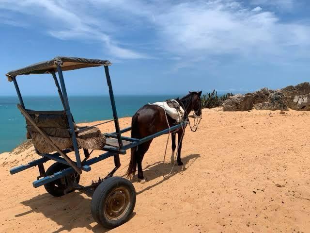 WhatsApp Image 2024-01-11 at 20.48.29