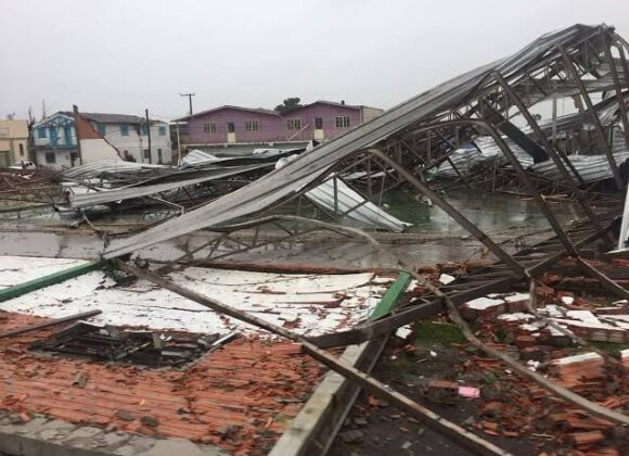 WhatsApp Image 2024-01-17 at 10.43.16