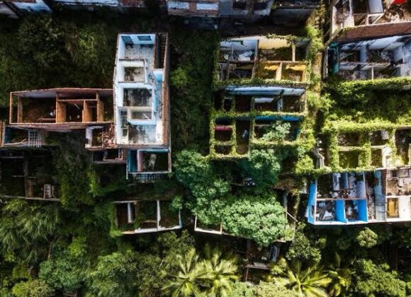 Conselheiro da Braskem diz que "a dita tragédia de Maceió não existiu" Conselheiro da Braskem diz que "a dita tragédia de Maceió não existiu"