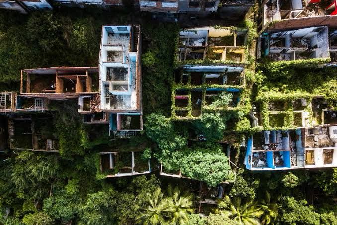 Conselheiro da Braskem diz que "a dita tragédia de Maceió não existiu"