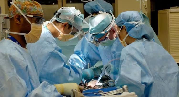 IMG_20240202_132535_877