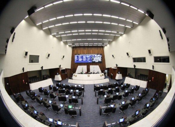 IMG_20240211_152932_946