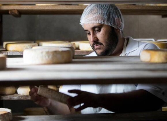 Queijo de Santa Catarina vence concurso internacional
