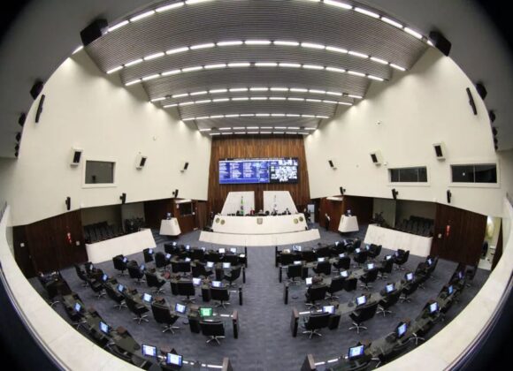 Junho Violeta: Workshop ensina idosos a usar a internet de forma segura