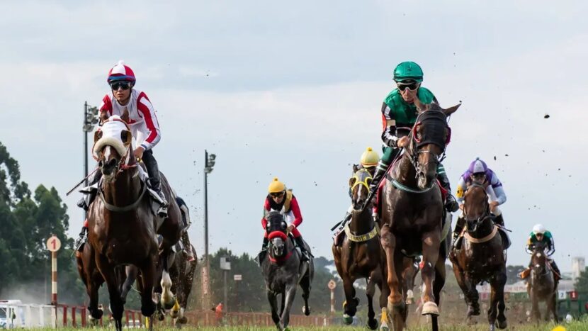 Jockey Club do Paraná realiza o Derby Paranaense Jockey Club do Paraná realiza o Derby Paranaense