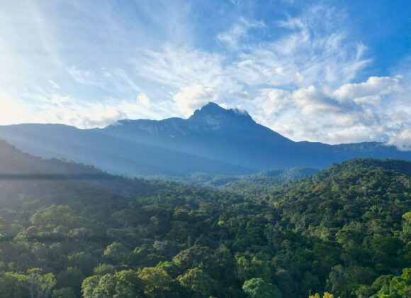 Pico da Neblina: a maior aventura do Brasil volta a receber viajantes em expedições junto ao povo Yanomami
