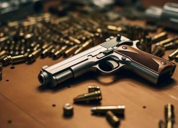 Debate Sobre Imposto Seletivo Envolve Armas e Divide Opiniões no Congresso WhatsApp Image 2024-07-26 at 17.55.49