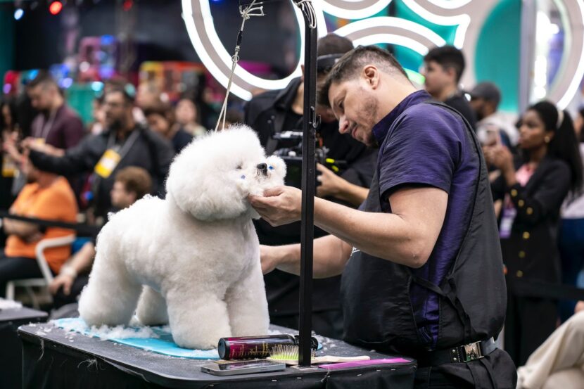 Groomers: conheça a profissão responsável pela beleza dos pets