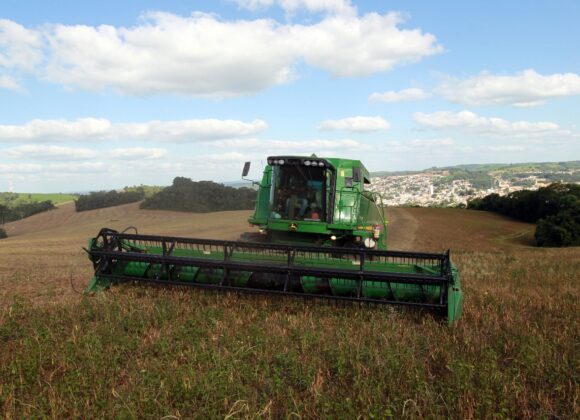 Paraná se destaca como produtor de feijão e contribui significativamente para o abastecimento nacional Paraná se destaca como produtor de feijão e contribui significativamente para o abastecimento nacional