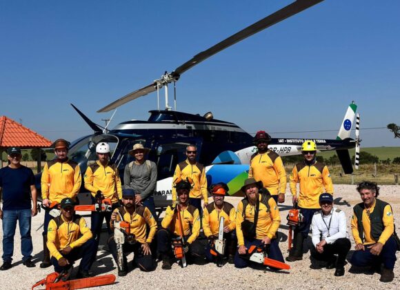 .Com apoio de voluntários e helicóptero, IAT retira 58 hectares de pinus do Guartelá Com apoio de voluntários e helicóptero, IAT retira 58 hectares de pinus do Guartelá