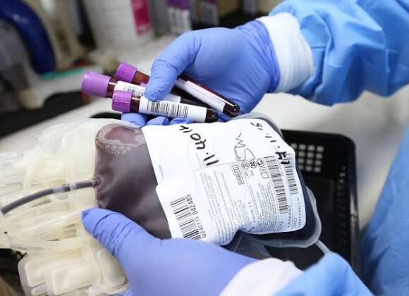 Estado do Paraná fica no pódio entre cadastro de doadores de medula óssea Estado do Paraná fica no pódio entre cadastro de doadores de medula óssea