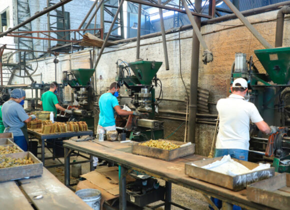 Com 152 mil empregos, Paraná é 3º estado que mais gerou trabalho de janeiro a setembro