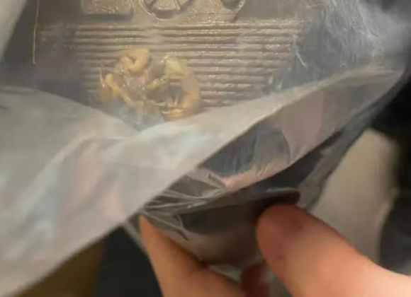 Mulher acha escorpião dentro de pacote de empresa chinesa