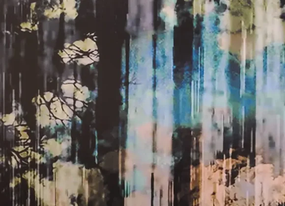 Museu da Imagem e Som tem exposição ‘Desver’ a partir de 15 de outubro