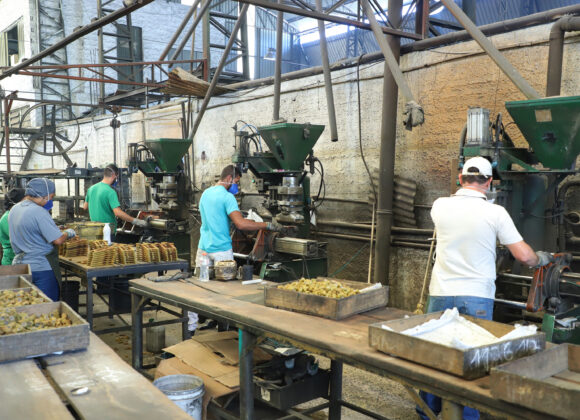 Paraná fica no pódio de estados que mais geraram empregos em 2024 Paraná fica no pódio de estados que mais geraram empregos em 2024