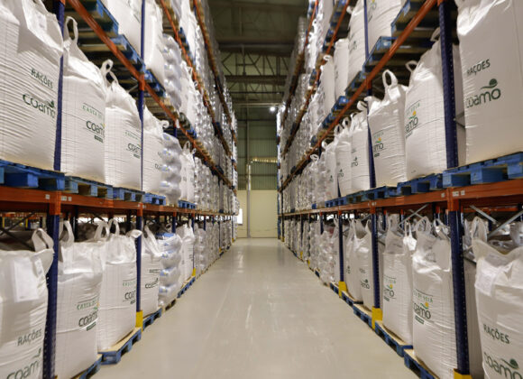 Paraná tem dezenas de empresas entre as maiores do país em 2024