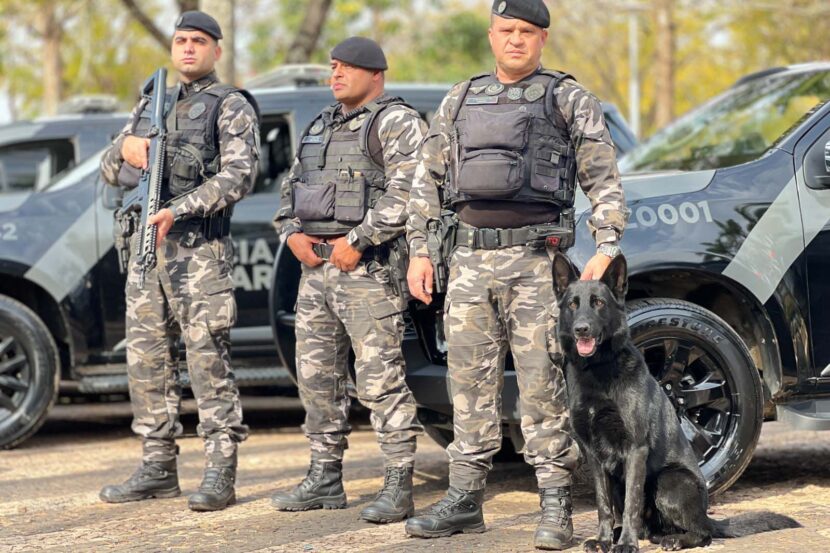 Primeira Cãocorrida celebra laço entre policiais, cães e comunidade no Paraná Primeira Cãocorrida celebra laço entre policiais, cães e comunidade no Paraná