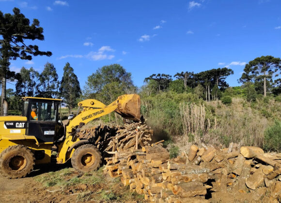Retirar madeira de obras em rodovias é crime, alerta DER/PR