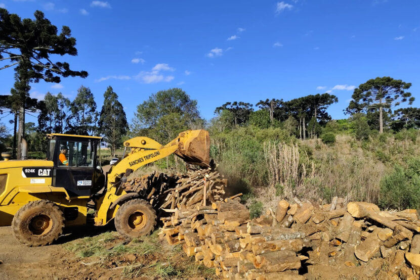 Retirar madeira de obras em rodovias é crime, alerta DER/PR