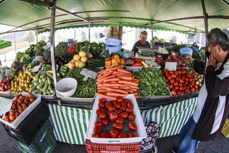 Mais duas feiras integram programação curitiba 00530856