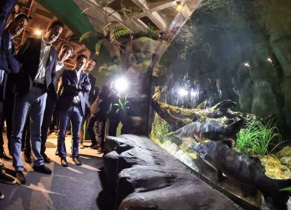 1a1c1580-53f9-4c96-93bb-3d837ba91b9a