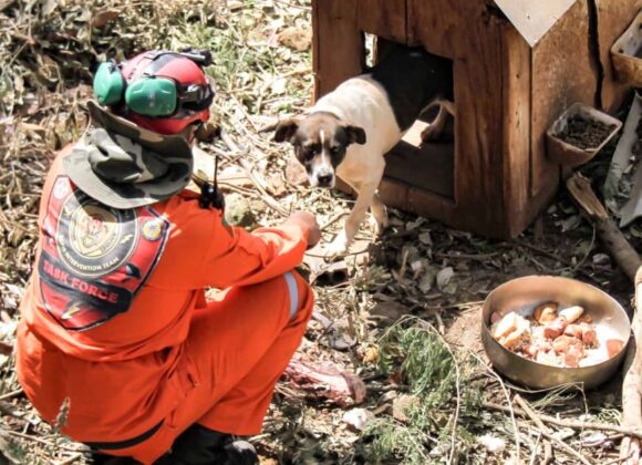 No dia 10 de novembro, a força da natureza deixou marcas profundas, mas a ação humana e o espírito comunitário mostraram que a reconstrução é possível.