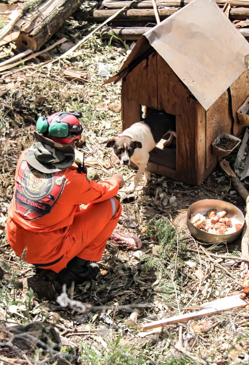 No dia 10 de novembro, a força da natureza deixou marcas profundas, mas a ação humana e o espírito comunitário mostraram que a reconstrução é possível.