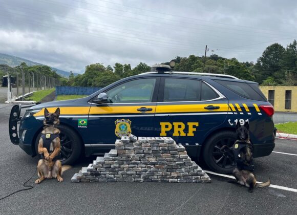 PRF intercepta 140 kg de cocaína escondidos em caminhonete na BR-376