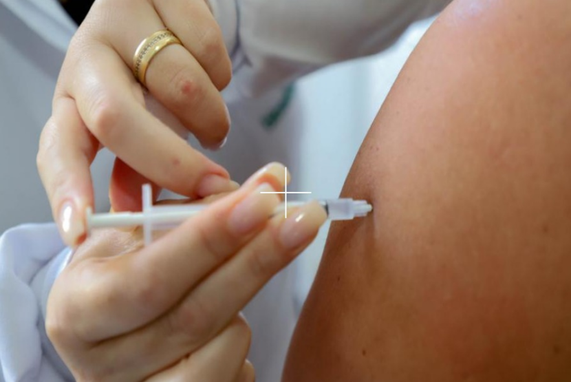 Alerta e lembrete sobre a febre amarela whatsapp_image_2025-12-05_at_17.16.18