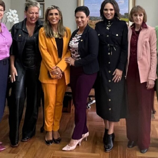 Relembre como foi o ano 2025 para a Bancada Femina da ALEP