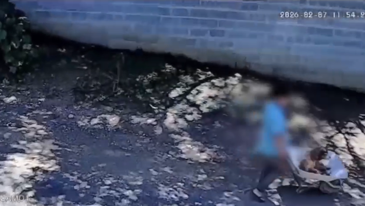 Captura de tela 2026-02-09 184839