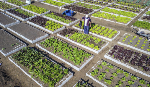 Design sem nome (16)