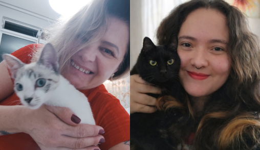 Totens em shoppings ajudam pets a encontrar um lar em Curitiba