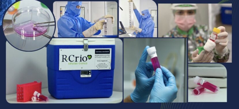 Células-tronco ganham espaço como alternativa promissora na medicina regenerativa células-tronco