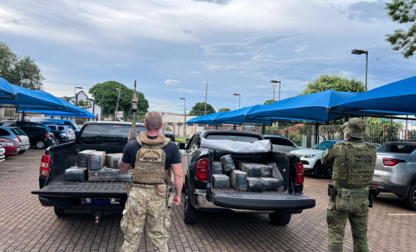 Operação apreende mais de meia tonelada de maconha no Paraná Foto: PMPR