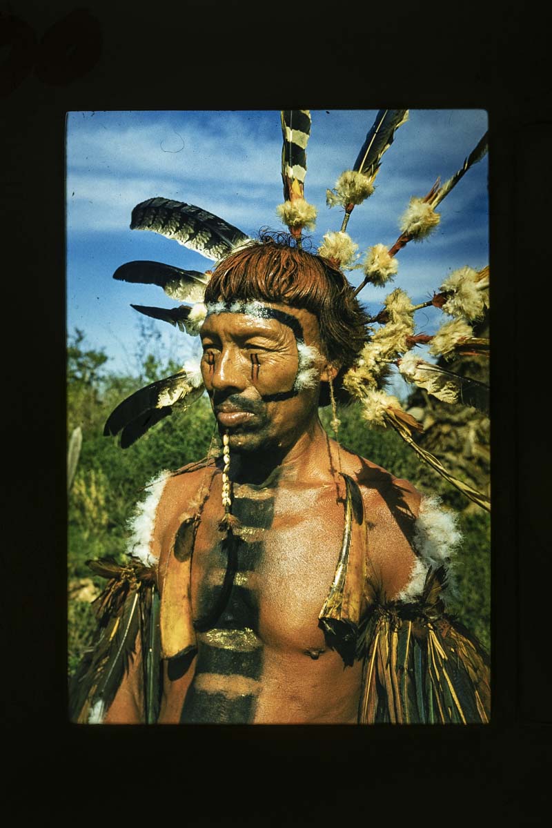 Paraná inaugura primeiro museu-satélite e leva acervo ao interior IMG_1015