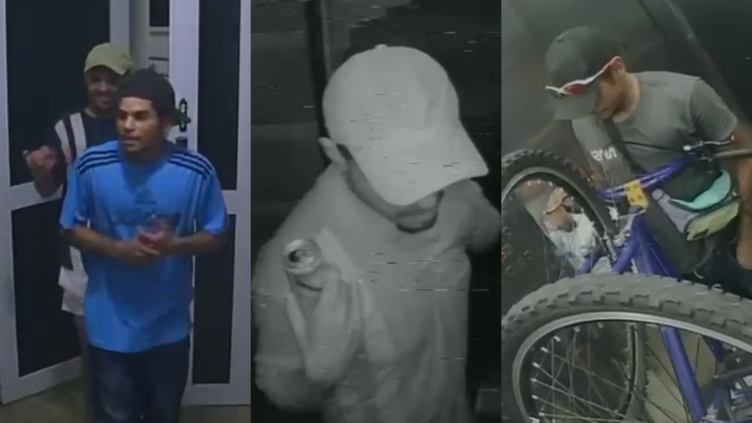 LATROCINIO-LIBERDADE