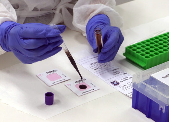 whatsapp_image_2026-03-30_at_15.56.32